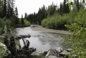 Photograph of Strachan Provincial Recreation Area, Strathmore