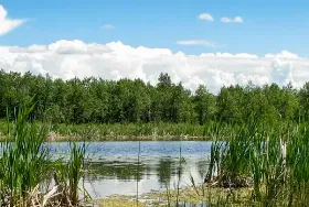 Photograph of The Narrows Provincial Recreation Area, Stettler