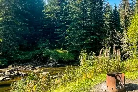 Photograph of Hornbeck Creek Provincial Recreation Area, Entwistle
