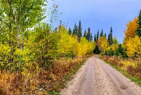Photograph of Freeman River Recreation Area, Swan Hills