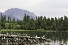 Photograph of Three Sisters Campground, Canmore