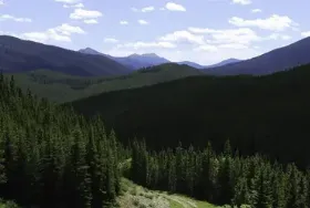 Photograph of Etherington Creek Provincial Recreation Area, Kananaskis