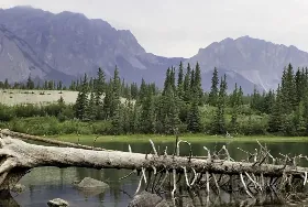 Photograph of Bow River Campground, Canmore
