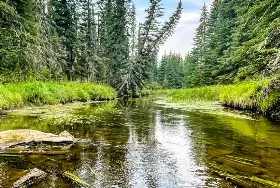 Photograph of Hornbeck Creek Provincial Recreation Area, Entwistle