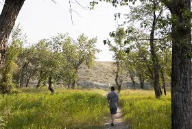 Photograph of Island View Campground, Pincher Creek