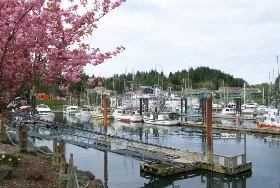 Photograph of Bayshore Waterfront Inn, Ucluelet