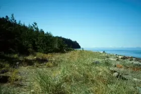 Photograph of Fillongley Provincial Park, Denman Island