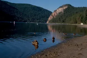Photograph of Paul Lake Provincial Park, Kamloops