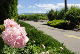 Photograph of Apple Valley Orchard & RV Park, Kelowna