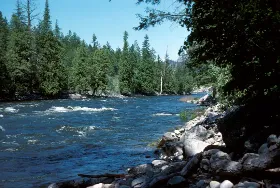 Photograph of Stemwinder Provincial Park, Princeton