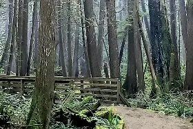 Photograph of Horne Lake Regional Park, Qualicum Beach