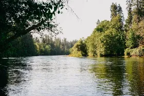 Photograph of Arrowvale Campground and Cottages, Port Alberni