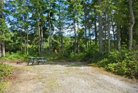 Photograph of Bayside Campground & RV Park, Sechelt