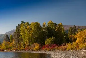 Photograph of Fintry Provincial Park, Vernon