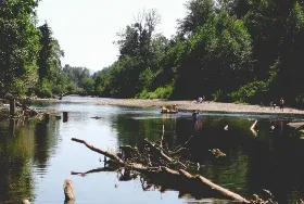Photograph of Maple Pool Campsite, Courtenay