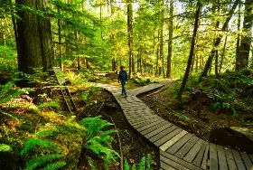 Photograph of Cultus Lake Provincial Park, Chilliwack