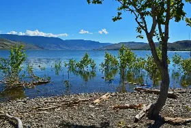 Photograph of Steelhead Provincial Park, Savona