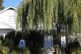 Photograph of Willows Inn, North Vancouver