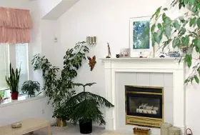 Photograph of Bailey's By the Creek Bed and Breakfast, Surrey