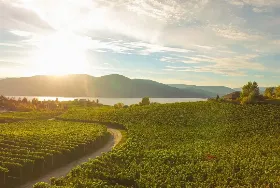 Photograph of The Bistro At Hillside Winery, Penticton