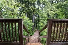 Photograph of Reef Point Cottages, Ucluelet