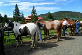 Photograph of Free Rein Guest Ranch, Bridge Lake