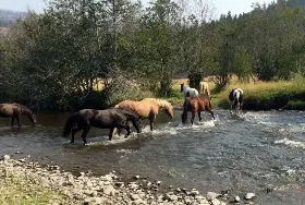 Photograph of Campbell Hills Guest Ranch Resort, Kamloops