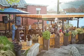 Photograph of BIBO, Nelson