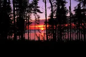 Photograph of Simon Nabess Wayside Park, Cormorant