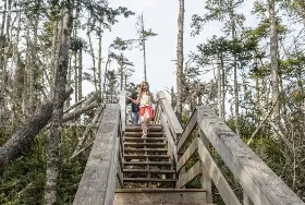 Photograph of New River Beach Provincial Park, New River Beach