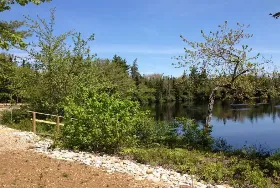 Photograph of Thurston Creek Campground, Clyde River