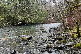 Photograph of St. Mary's River Lodge, Sherbrooke