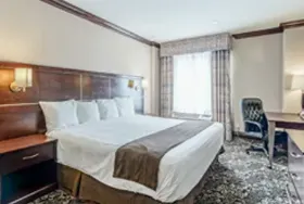 Photograph of Woodbine Hotel And Suites, Toronto