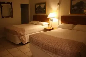 Photograph of Tulip Motel, Woodstock
