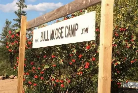 Photograph of Bull Moose Camp, Red Lake