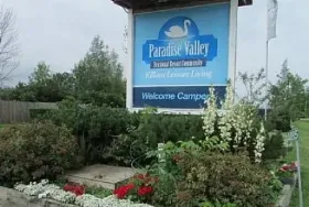 Photograph of Paradise Valley, Forest