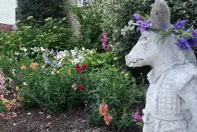 Photograph of Starlings & Roses Bed & Breakfast, Mitchell