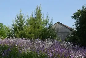 Photograph of Keppel Croft Farm and Gardens, Wiarton