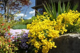 Photograph of By The Park Bed and Breakfast, Toronto