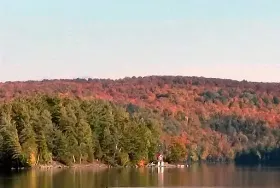 Photograph of Silver Springs Cottages, Harcourt