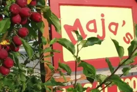 Photograph of Maja’s, Mindemoya