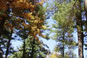 Photograph of Camping D'aoust, Vaudreuil-Dorion