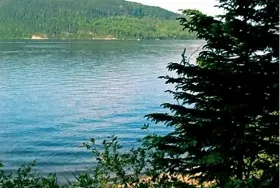 Photograph of Camping Cabano, Cabano