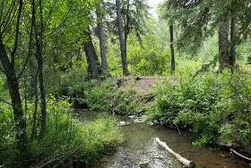 Photograph of Pine Cree Regional Park, Shaunavon