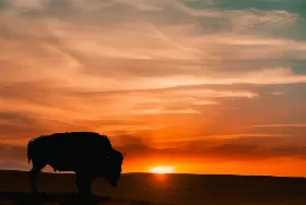 Photograph of Buffalo Lookout RV Park, Regina